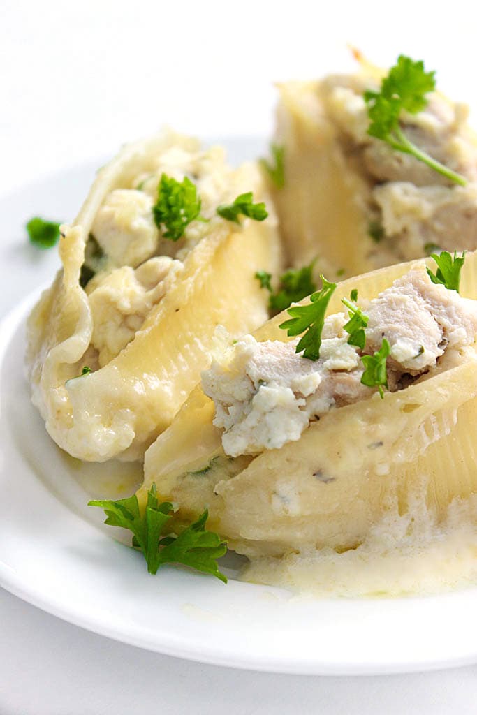 Chicken Alfredo pasta shells are decadent and delicious. These shellfredos have ricotta chicken stuffed shells swimming in a rich Alfredo sauce.