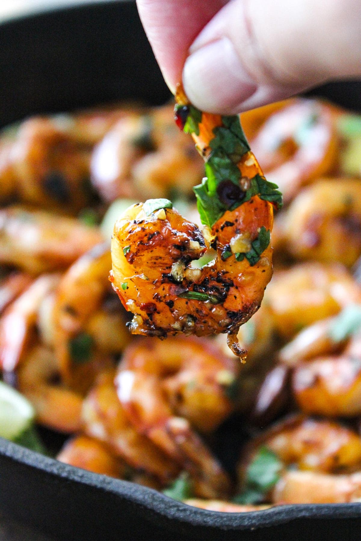 Cilantro lime honey garlic shrimp in a cast iron pan with lime wedges and topped with fresh parsley.