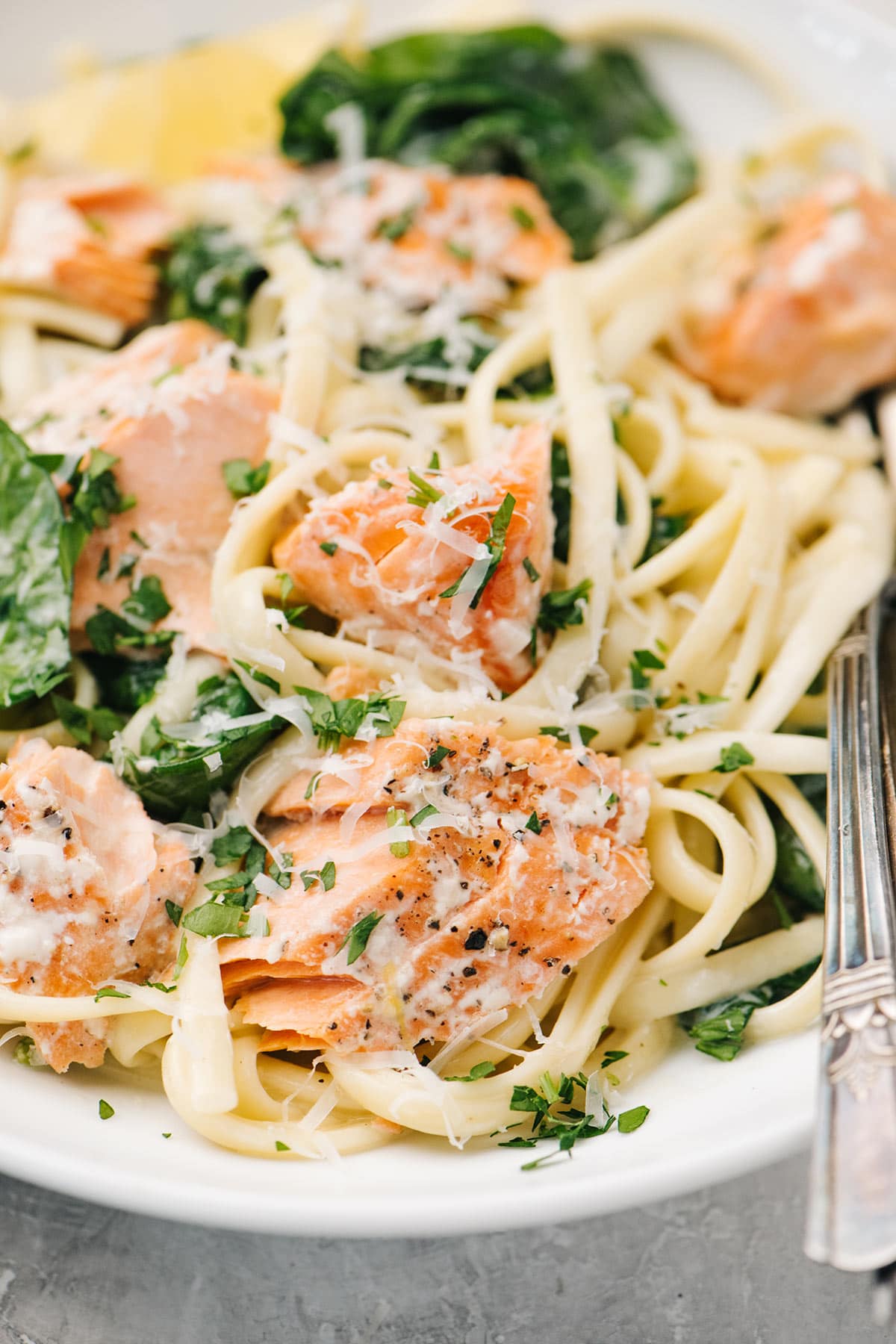 A close up shot of creamy salmon pasta with spinach on a white plate.