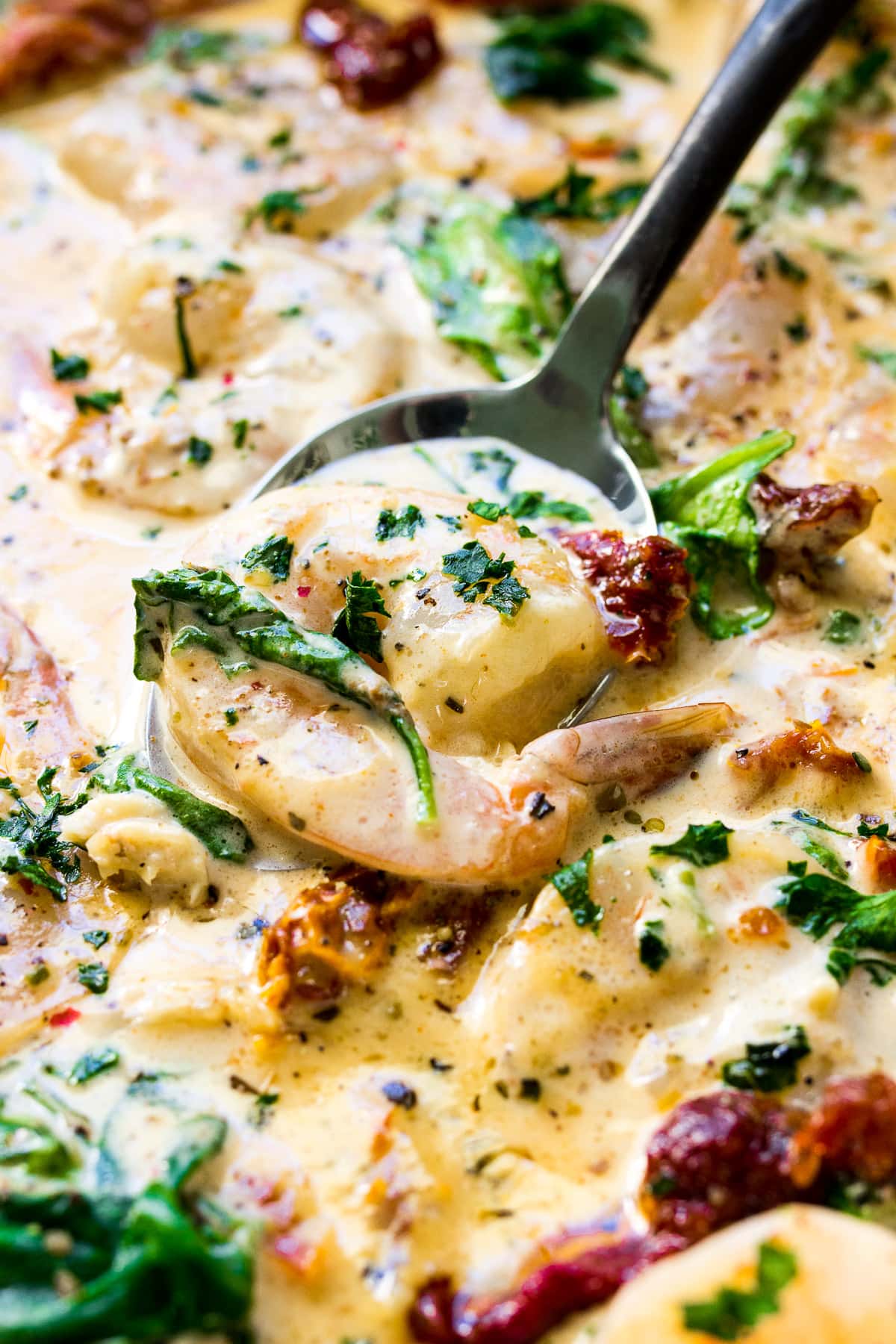 A close up photo of shrimp topped with parsley, spinach and sun-dried tomatoes nestled on a spoon in a creamy sauce.
