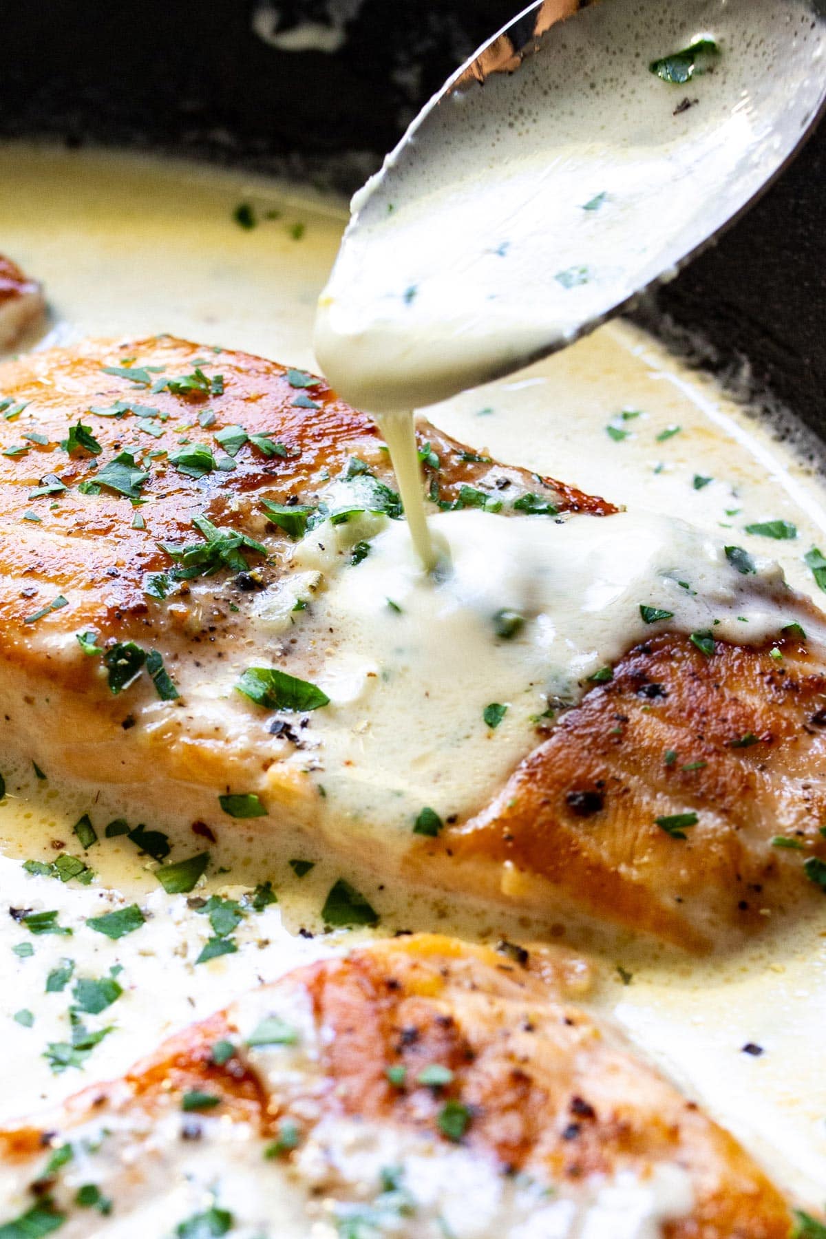 A close up shot of sauce drizzled over creamy garlic butter salmon.