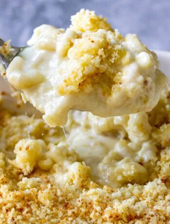 Creamy baked mac and cheese lifted with a spoon.
