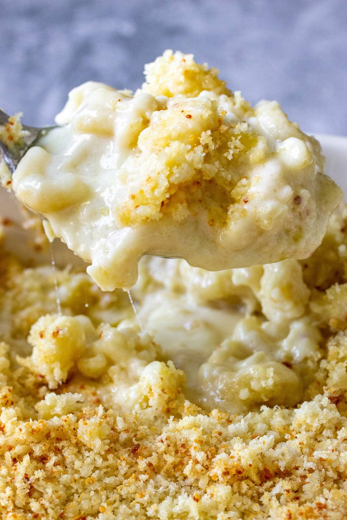 baked macaroni and cheese bread crumbs