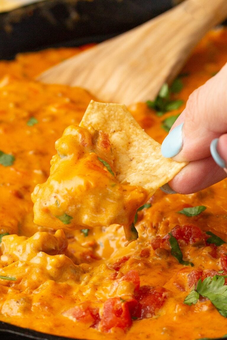 Velveeta Rotel Sausage Dip - The Cooking Jar