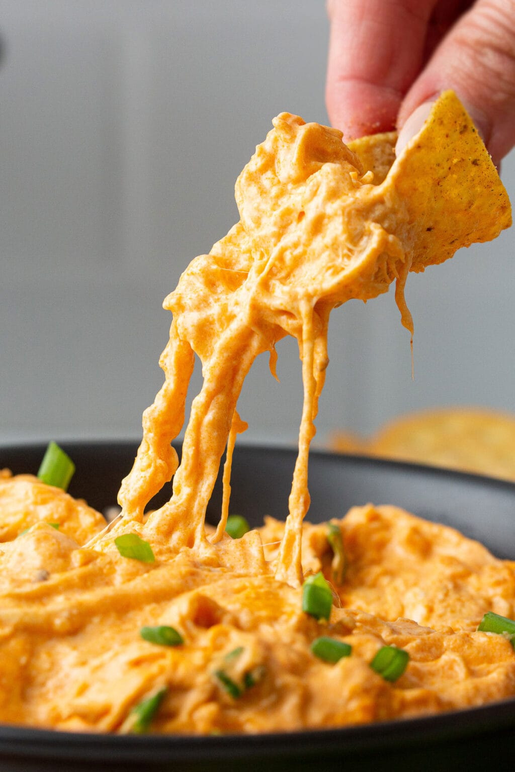 Slow Cooker Buffalo Chicken Dip - The Cooking Jar