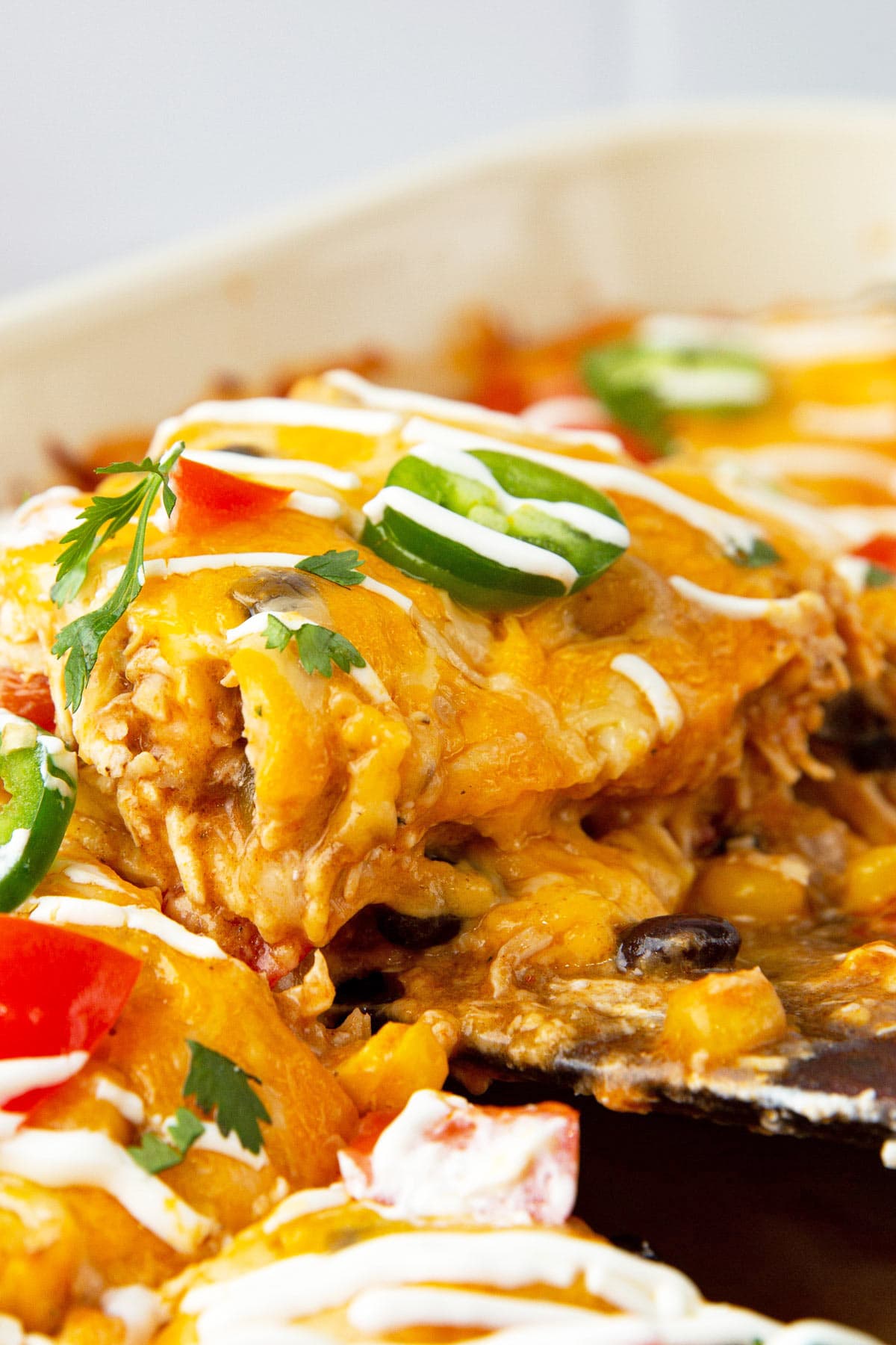 A cheesy slice of chicken enchilada casserole lifted out of a white 9x13 casserole pan.