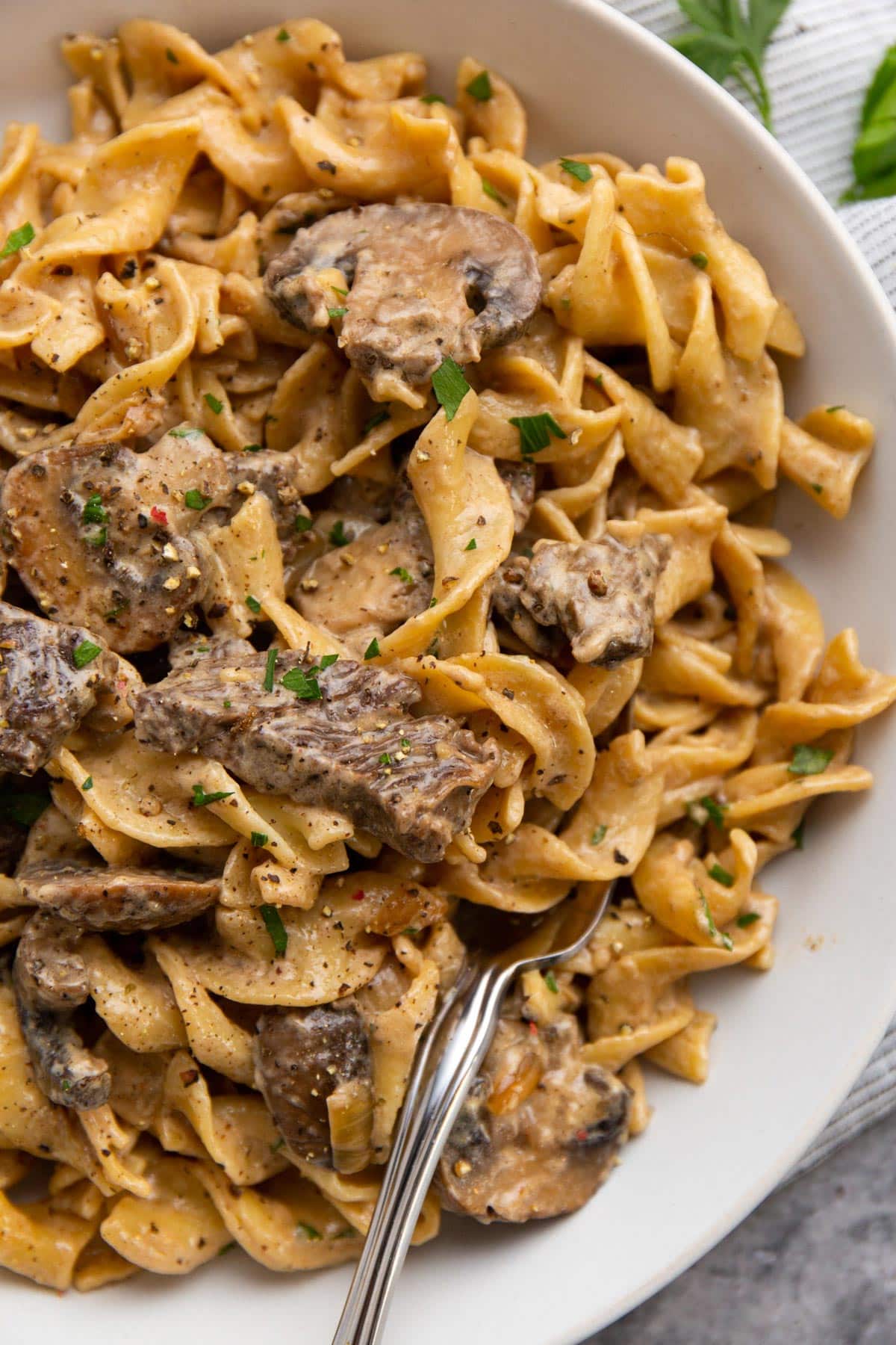 Creamy beef stroganoff on a bed of egg noodles in a white low bowl.