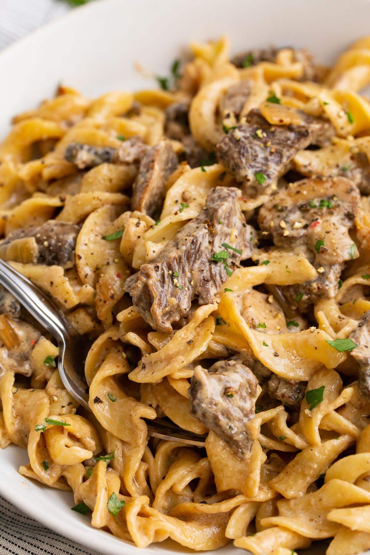 Creamy beef stroganoff on a bed of egg noodles in a white low bowl.
