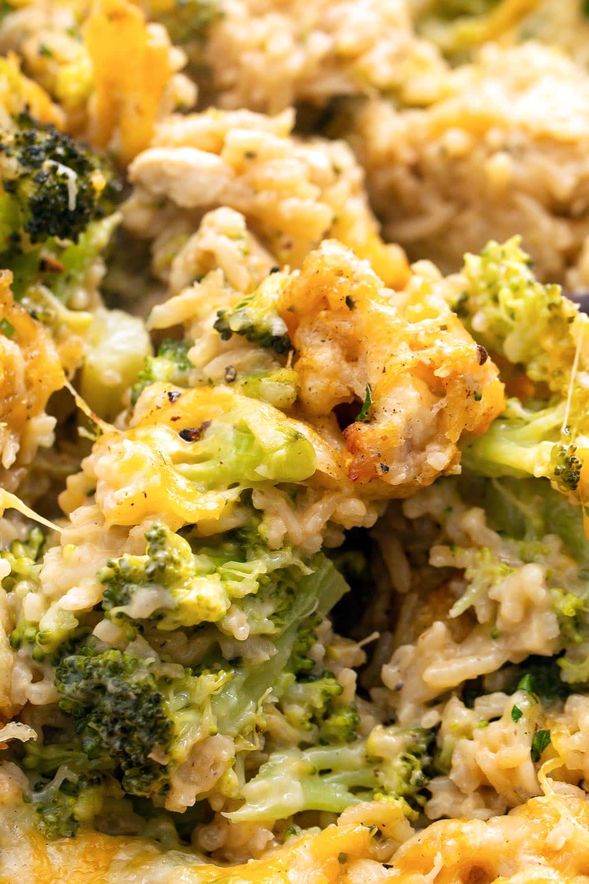A close-up shot of chicken broccoli rice casserole with lots of cheese.