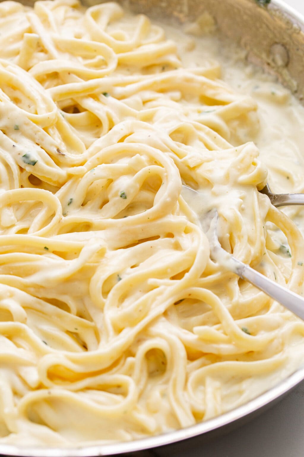 Homemade Alfredo Sauce The Cooking Jar