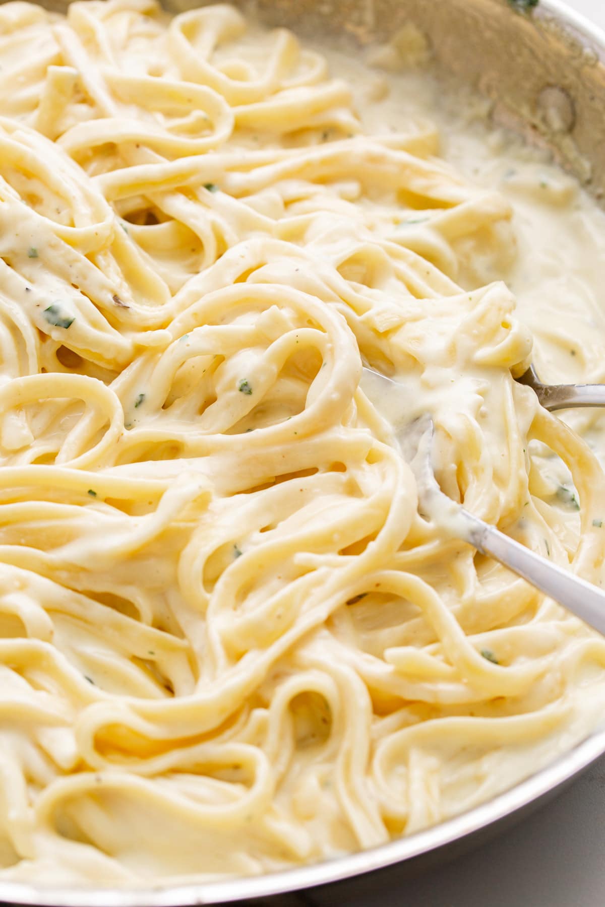 Fettucine pasta smothered in homemade Alfredo sauce in a stainless steel skillet.