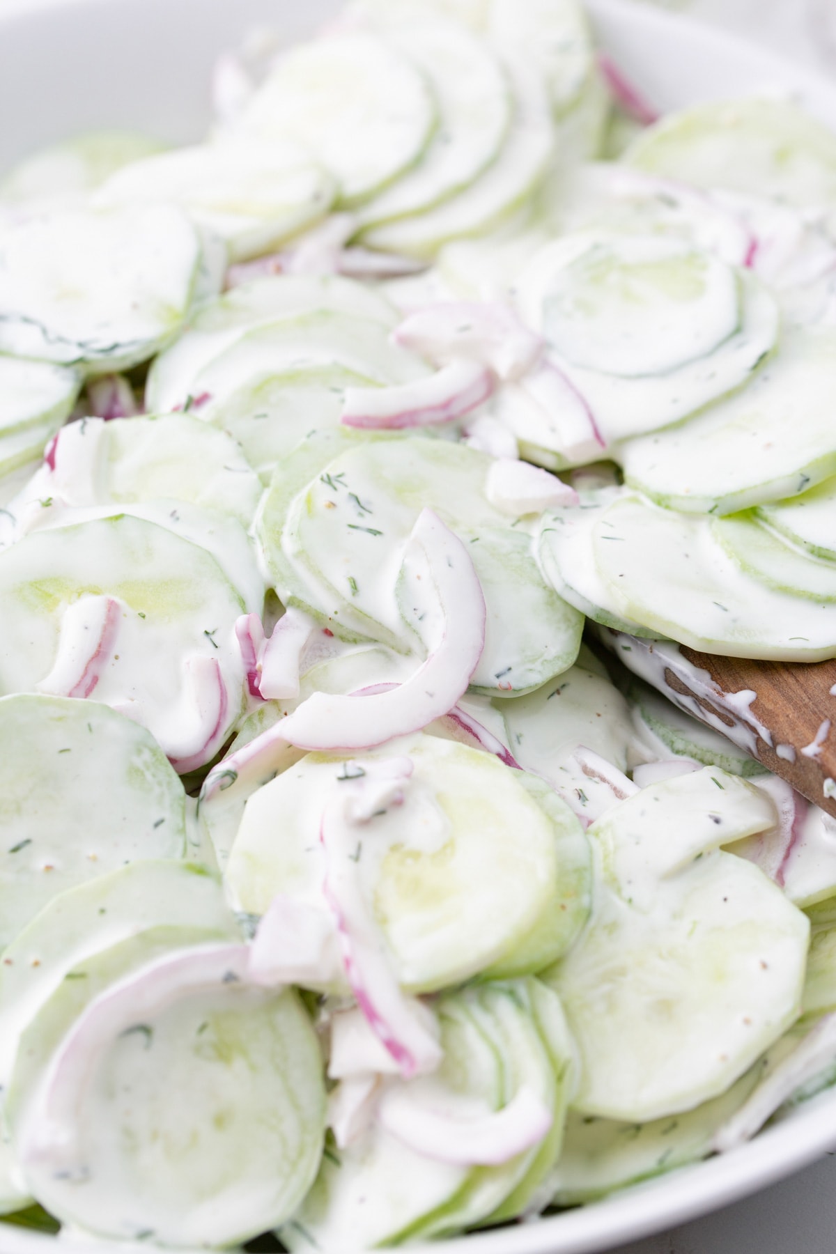 Creamy cucumber salad in a white serving bowl topped with fresh dill.