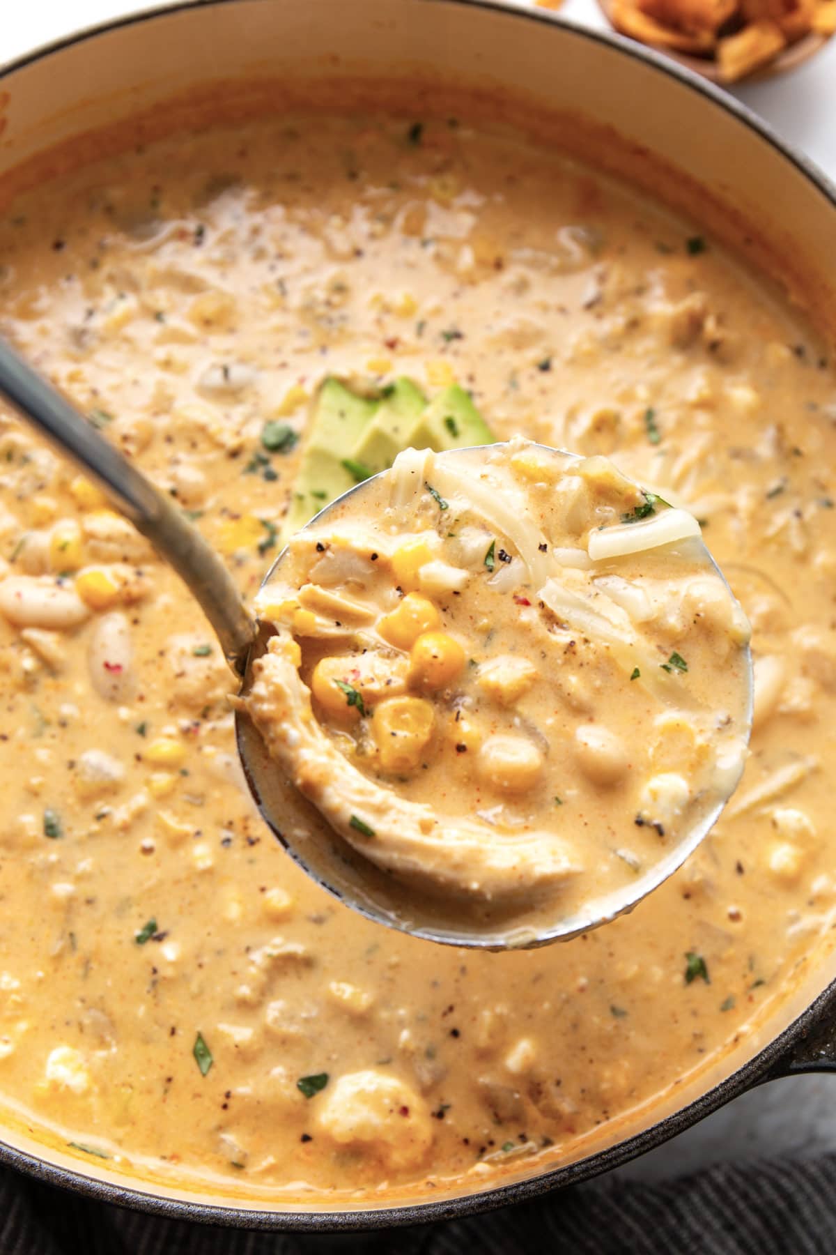 A generous ladle of white chicken chili with shredded chicken, beans, corn and chopped cilantro.