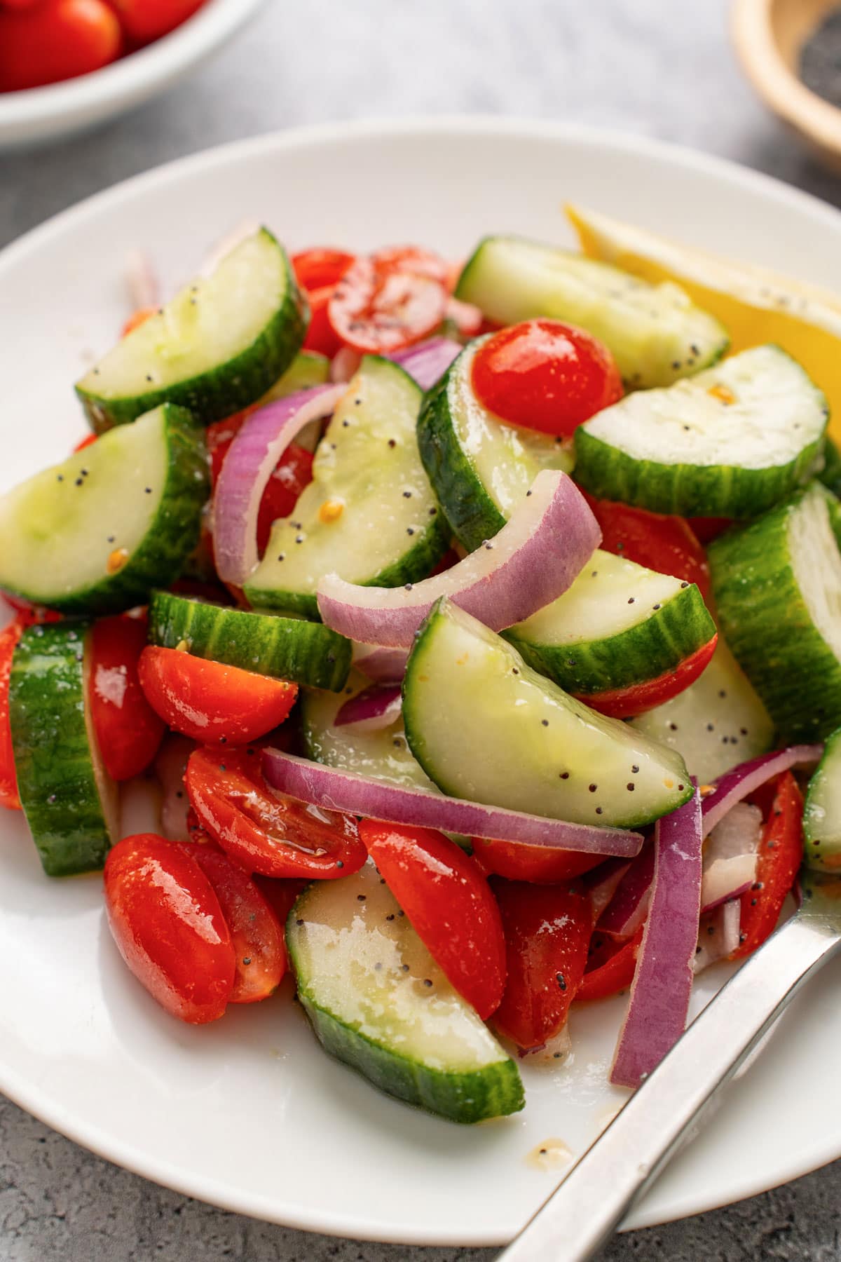 Cucumber tomato salad served on a white plate.