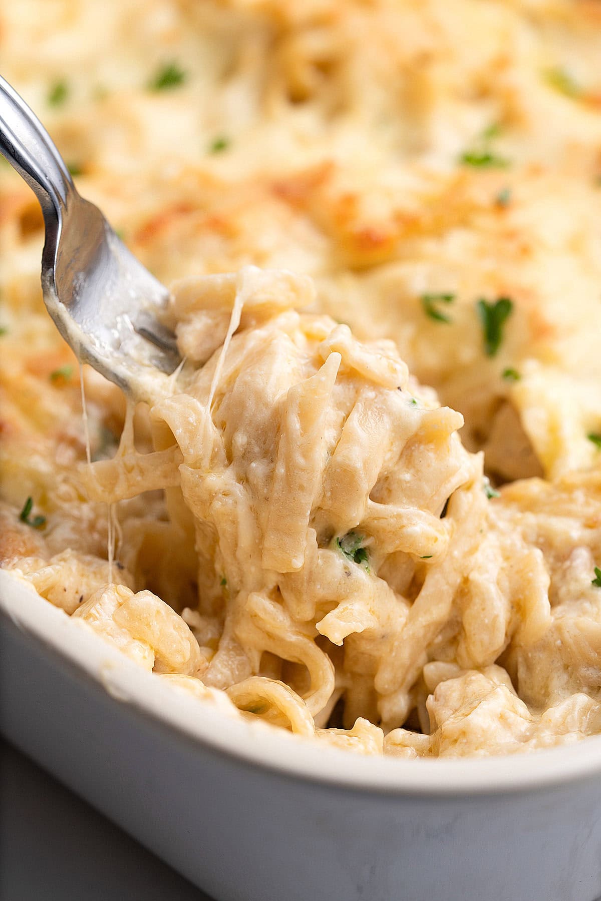 A creamy serving of easy chicken tetrazzini lifted out of the casserole with a fork.